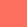 Coral Coral