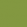 Olive Olive